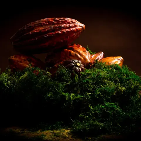 Theodent Classic – Florürsüz  Diş Macunu